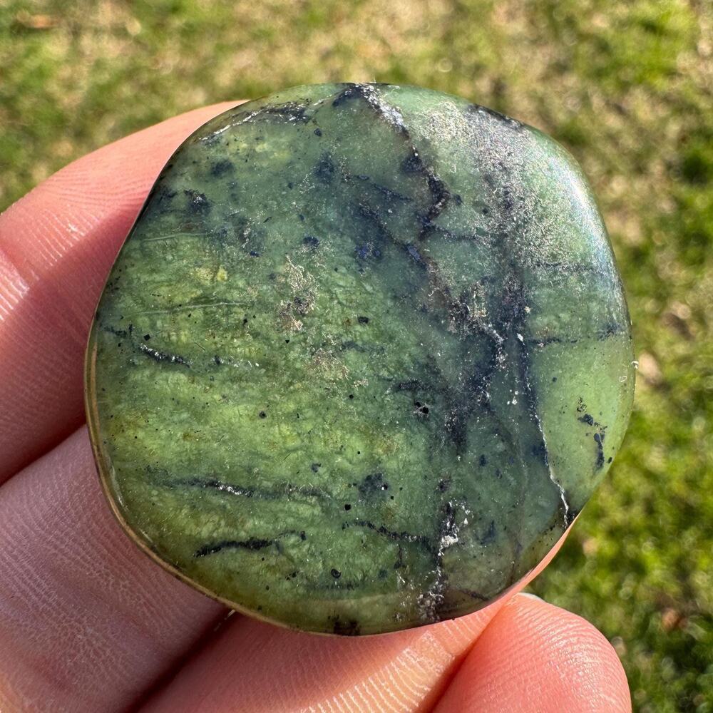 Canadian Jade Palm Stone Nephrite #15